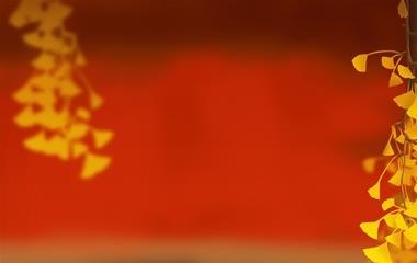 怎么款留爱情？必定要和对方商议