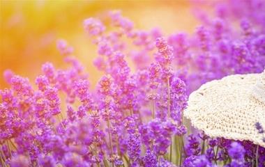 家人不同意男朋友怎么办,男朋友条件差