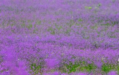 怎样使自己心里强壮自傲,自傲心的自我训练方法