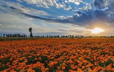 女性变心的体现：冷淡唐塞，不再寻根究底