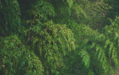 和女孩子谈天的论题,多聊以下这几个论题