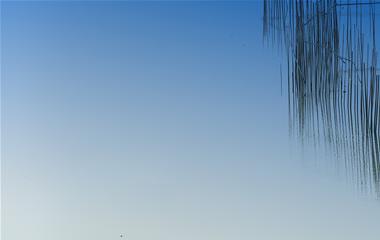 嫁给爱情是什么样的,会夸姣吗?