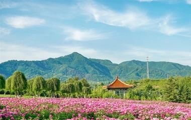 怎么运营婚姻？两人相互信任，防止猜疑