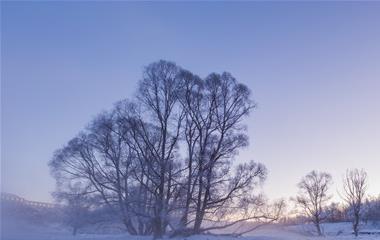 五十岁女性怎样抗衰老?五十岁女性抗衰老最好的办法