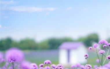 怎样处理老公越轨要离婚怎样拯救？