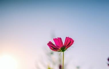 款留女友,怎样款留目标？