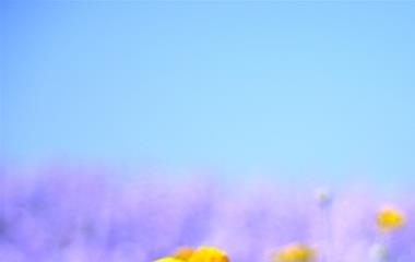 款留女友,怎样款留目标？