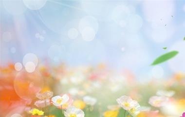 婚姻挂号信息查询,怎样查询是否成婚信息