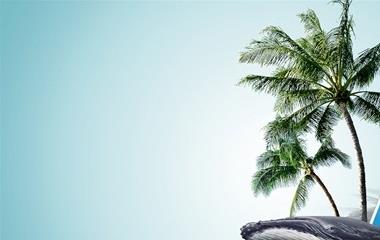 结婚后很实际的语句,婚后十分实际的语句