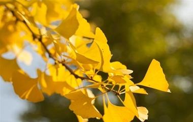 梦里梦见鬼是什么意思