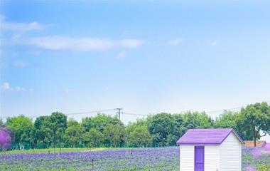 刚上初中怎样交朋友?7个技巧帮忙你