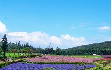 水瓶座分手后还会复合吗,绝情分手后怎样拯救水瓶男?