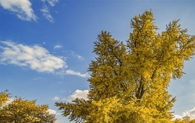 老公怎样处理妻子的婚外遇?