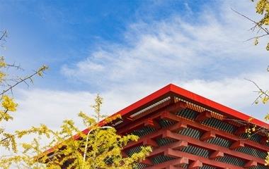 发现男人越轨,该怎样拯救婚姻?