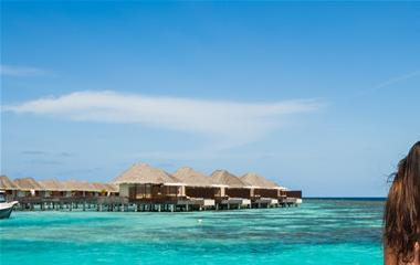 官宣案牍简略,低沉宣告自己有目标了