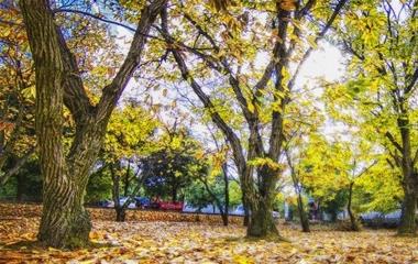 狮子座男生提分手前会有什么行为?