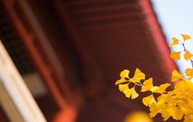 狮子座男生提分手前会有什么行为?