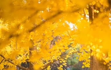 夫妻感情破裂,怎么能拯救婚姻?