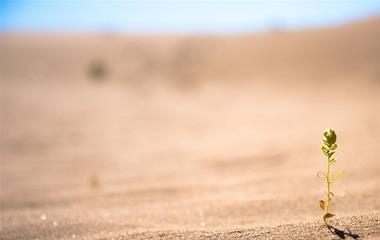 三个有魅力的女性特征,你知道吗?