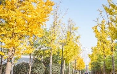 男人暗恋你吃闷醋的体现,暗恋吃醋的各种体现