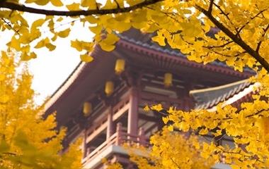 男人暗恋你吃闷醋的体现,暗恋吃醋的各种体现