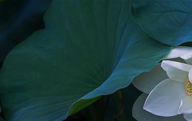 16个谈天诙谐技巧,怎样谈天不会尬聊