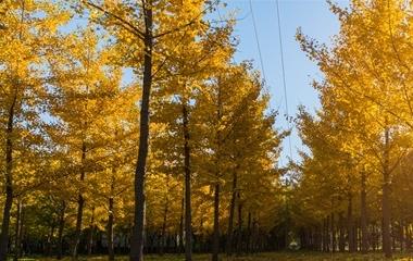 怎样运营婚姻和夫妻爱情?运营婚姻的六个小诀窍