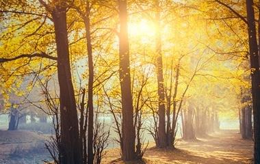 怎样拯救一个女性的心?怎样拯救女朋友才最有用?