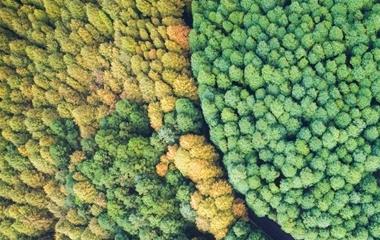 无法拯救的爱情的四种体现,标明你们的爱情走到了止境