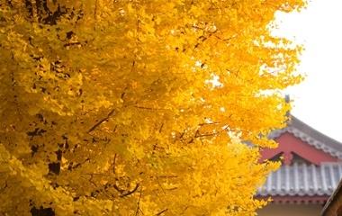 我越轨了被老公发现现在怎样拯救?