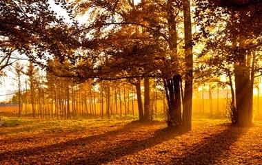 今世的爱情,人们为什么说婚姻是爱情的坟墓