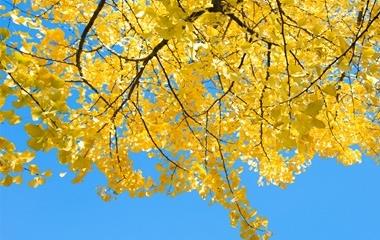 婚姻到什么时候该离婚,婚姻现已走到了止境的体现