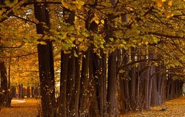 婚姻到了什么程度就可以离婚了,什么信号意味着婚姻完毕了