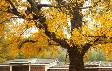 怎样和前女友谈天最初,和上一任聊什么才干拯救