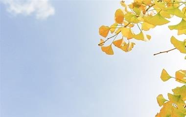 怎样和老公谈越轨问题,怎样和越轨老公交流