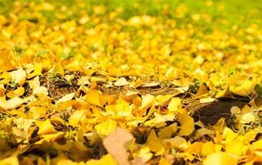 怎样抵挡想操控你的人,朋友操控欲太强怎样办