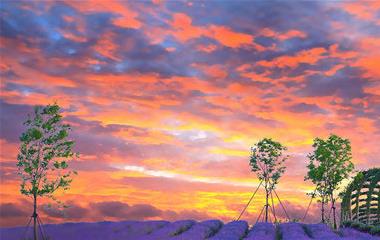 严峻伤了媳妇的心怎样拯救,教你几个小好方法拯救婚姻