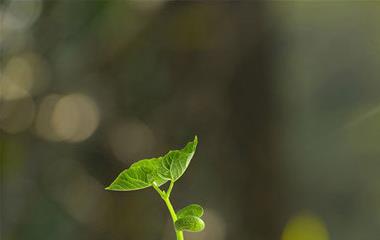 让对方心痛想拯救的话,想要拯救对方的语句