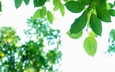 婚外情怎么运营才干不被发现,婚外情有必要要知道清楚的三个准则