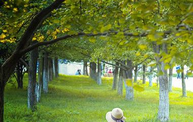 男人不爱你却也不离婚的原因