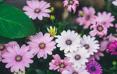 高情商的女性会怎样谈恋爱,怎样跟高情商的女性学习怎样谈恋爱