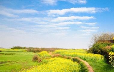 怎么削减对老公的讨厌,让他改动一些坏习惯