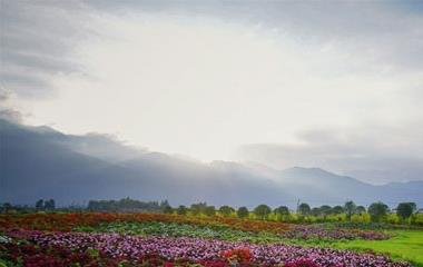 怎么建立正确的爱情观,充沛认识到爱不是无条件的美