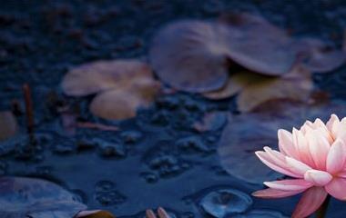 第一次谈爱情的女孩子,要留意这四个点