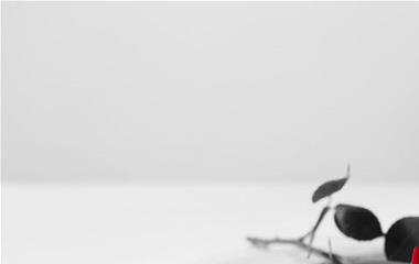 得到了愈加爱惜的说说,让人懂得爱惜的说说