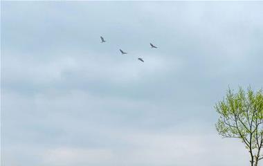 越轨过的男人怎样看出来,老公越轨怎样能看出来