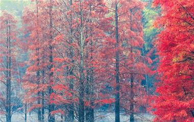婚外情怎么正确分隔,浪子回头要留意办法办法