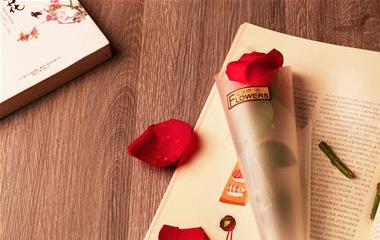 男生对女生表达短信,男生表达女生的话