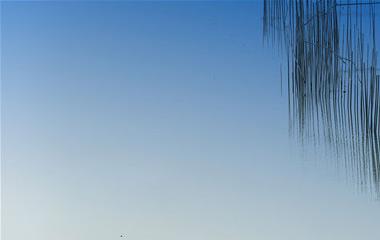 有关茶的诗句,说茶的唯美语句