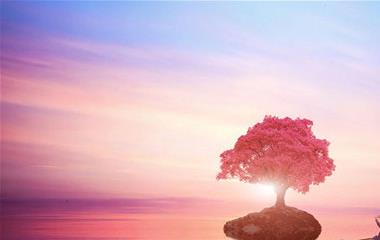 什么样的婚姻日子最无法,实在的婚姻是琐碎的日子必需品